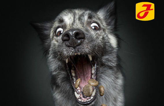 AJÁNLJUK FIGYELMETEKBE!!!